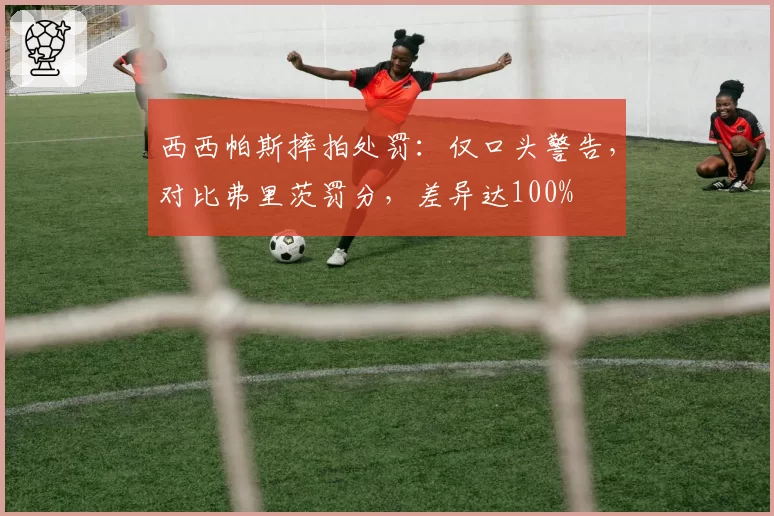 西西帕斯摔拍处罚:仅口头警告,对比弗里茨罚分,差异达100%