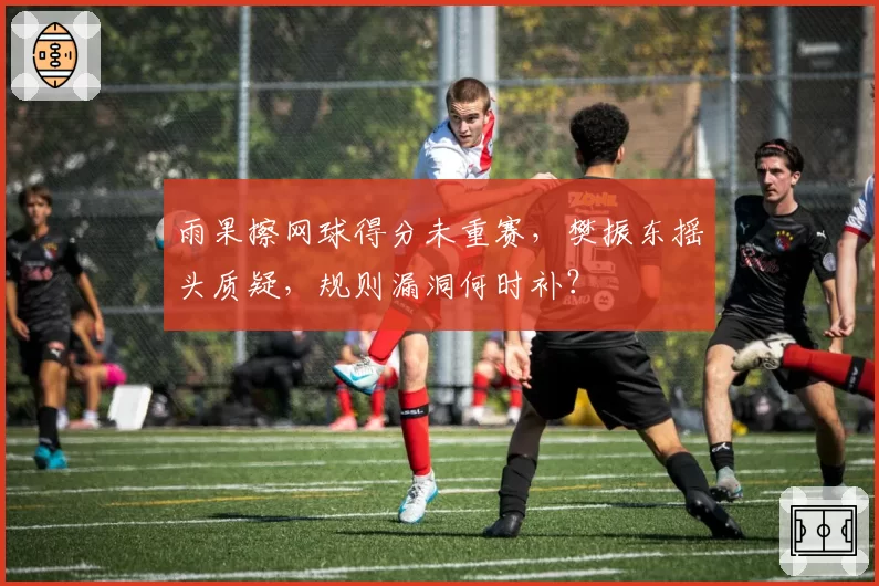 雨果擦网球得分未重赛,樊振东摇头质疑,规则漏洞何时补?